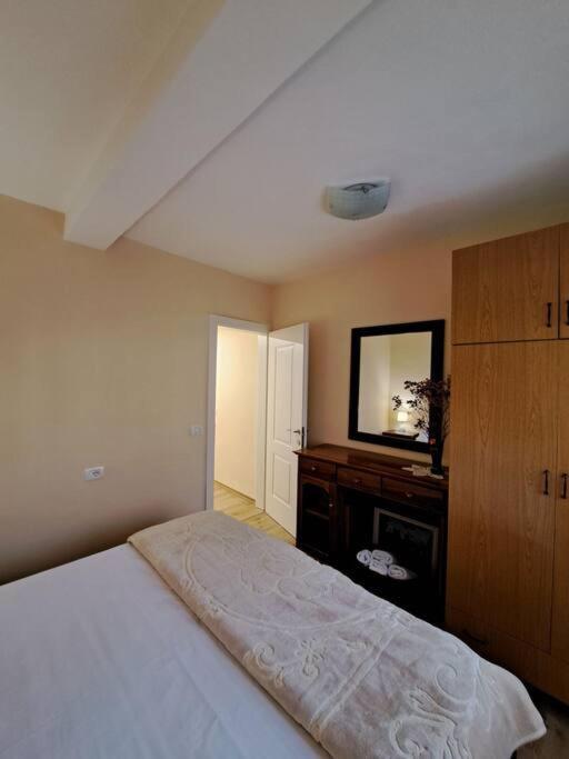 Quiet, Cozy, Luminous Apartment Tiranë Ngoại thất bức ảnh