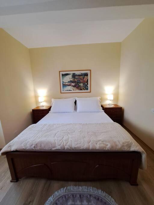 Quiet, Cozy, Luminous Apartment Tiranë Ngoại thất bức ảnh