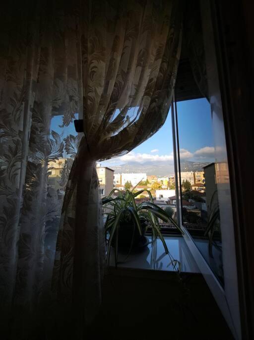 Quiet, Cozy, Luminous Apartment Tiranë Ngoại thất bức ảnh