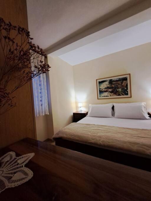 Quiet, Cozy, Luminous Apartment Tiranë Ngoại thất bức ảnh